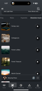 TOZO Music App